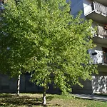 Flat In The Countryside